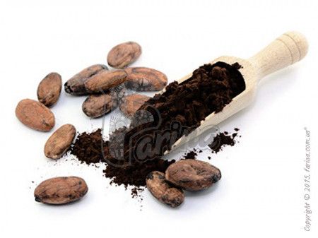 Какао-порошок Natra Cacao алкализированный черный Ibiza 10 -12%< фото цена